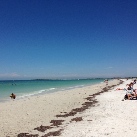 Cici’s Closet***Bookmark to Save! - Picture 7 of 7